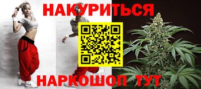 индика Гусев