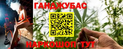 индика Гусев