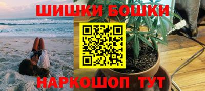 индика Гусев