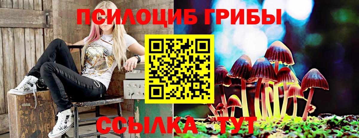 Набережные Челны  Псилоцибиновые грибы мицелий  Вход с VPN  Галлюциногенные грибы прущие грибы 