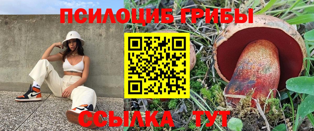 Псилоцибиновые грибы GOLDEN TEACHER  наркота  Набережные Челны  Галлюциногенные грибы MAGIC MUSHROOMS 